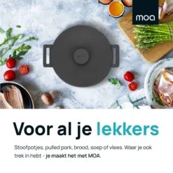 MOA Gietijzeren Braadpan - Inhoud 7,1 Liter - 29CM - Rond - Alle Warmtebronnen - Ook Voor Inductie - Gewicht 7,6 Kg - Zwart - MC29B 13 MOA Gietijzeren Braadpan - Inhoud 7,1 Liter - 29CM - Rond - Alle Warmtebronnen - Ook Voor Inductie - Gewicht 7,6 Kg - Zwart - MC29B -Keukenproducten Winkel 1200x1200 580