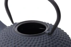 Bredemeijer - Theepot Xilin 1,25L Gietijzer Blauw -Keukenproducten Winkel 1200x800 147