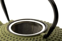 Bredemeijer - Theepot Xilin 1,25L Gietijzer Groen -Keukenproducten Winkel 1200x800 152