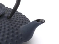 Bredemeijer - Theepot Xilin 1,25L Gietijzer Blauw -Keukenproducten Winkel 1200x900 56