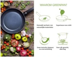 GreenPan Cambridge Vispan 32cm - Zwart - Inductie - PFAS-vrij -Keukenproducten Winkel 1200x926 3