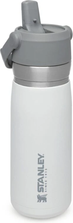 Stanley The IceFlow™ Flip Straw Water Bottle 0,65L - Thermosfles - Charcoal -Keukenproducten Winkel 396x1200 1