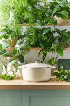 Tefal LOV Braadpan - 5L - Ø25 Cm - Beige 26 Tefal LOV Braadpan - 5L - Ø25 Cm - Beige -Keukenproducten Winkel 800x1200 10