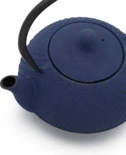 Bredemeijer Theepot Fujian 1.2L Met Filter Kobalt Blauw 19 Bredemeijer Theepot Fujian 1.2L Met Filter Kobalt Blauw -Keukenproducten Winkel 975x1200 1